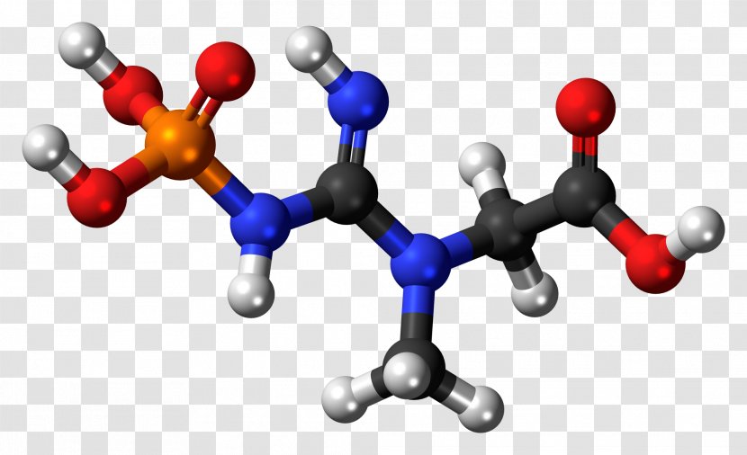Essential Amino Acid Non-nucleophilic Base Molecule - Chemical Compound - 3d Balls Transparent PNG