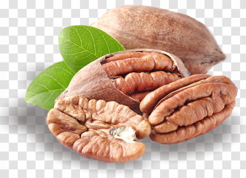 Butter Pecan Nut Praline Dried Fruit - Turtles - Walnut Transparent PNG
