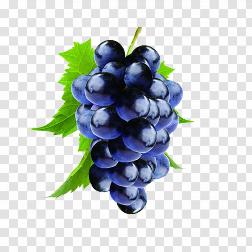 Red Wine Kyoho Baijiu Grape - Proanthocyanidin Transparent PNG