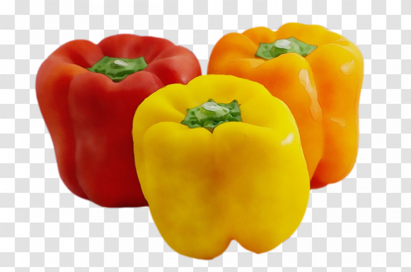 Bell Pepper Yellow Pepper Peppers Red Bell Pepper Pimiento Transparent PNG