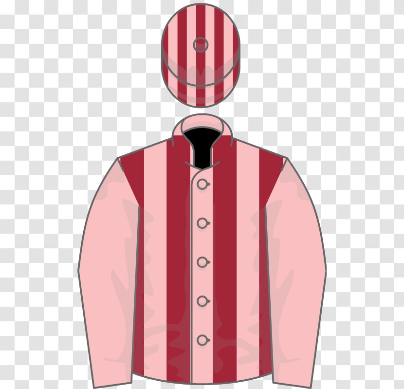 Thoroughbred Diamond Jubilee Stakes Ascot Racecourse Tempted Horse Racing - Shoulder - Alan's Pharmacy Transparent PNG