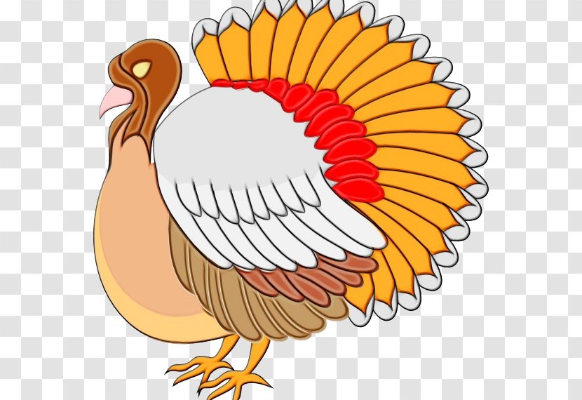Thanksgiving - Bird - Beak Transparent PNG