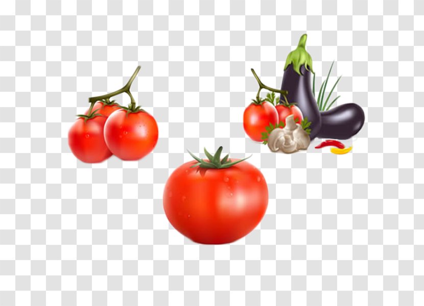 Vegetable Tomato Eggplant Icon - Plum - Fresh Vegetables Transparent PNG
