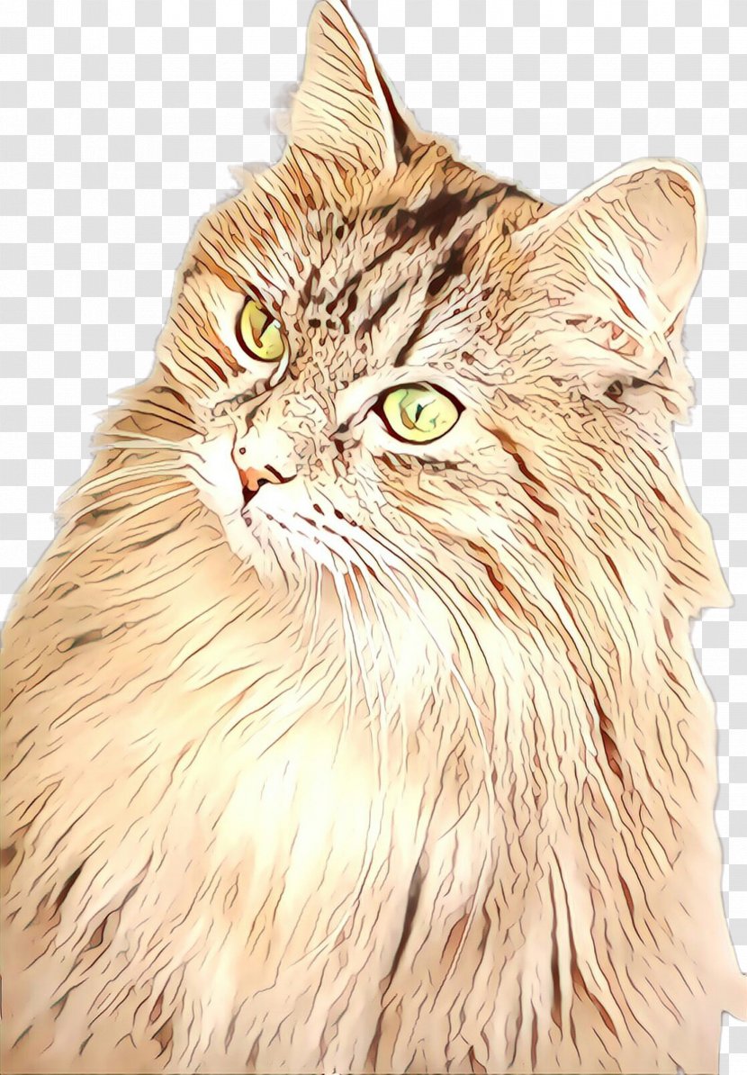 Cat Whiskers Small To Medium-sized Cats Domestic Long-haired Maine Coon - Cartoon - Siberian Transparent PNG