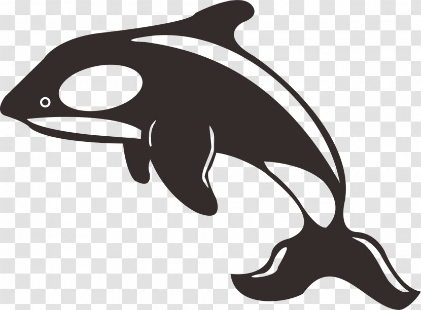 Dolphin Killer Whale Toothed Black And White - Mammal Transparent PNG