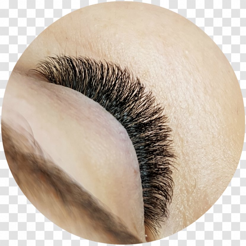 Eyelash Extensions Close-up Artificial Hair Integrations - Eyebrow - Inova Transparent PNG