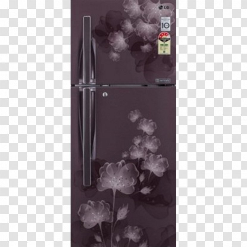 Auto-defrost Window Refrigerator Direct Cool Door - Frost Transparent PNG