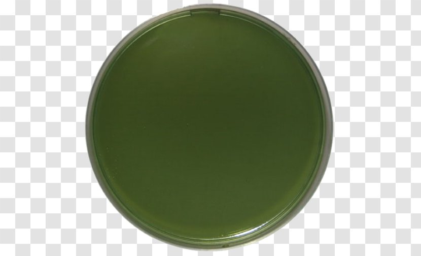 Green - Bactericidal Transparent PNG