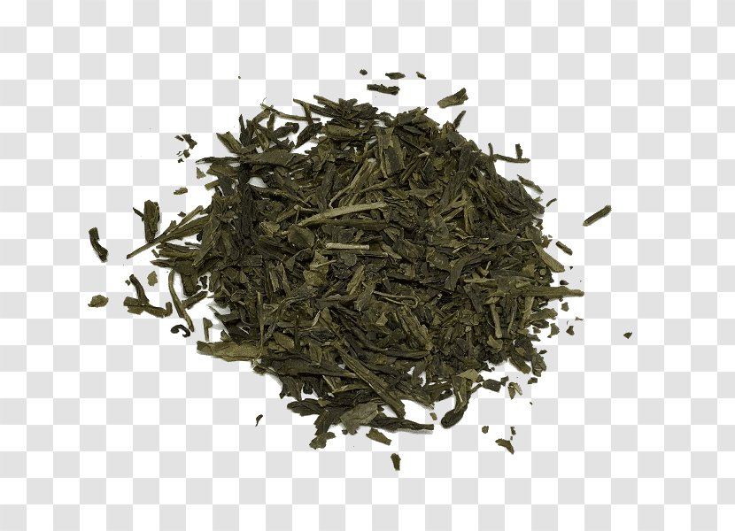 Gyokuro Sencha Nilgiri Tea Oolong Transparent PNG