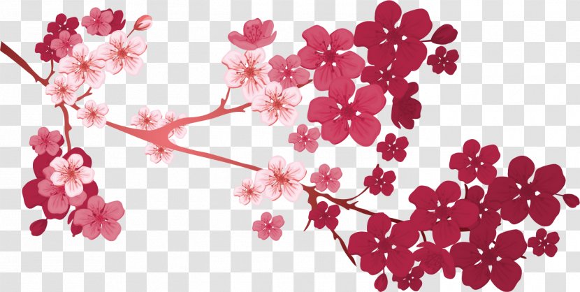 Panjin Lunar New Year Chinese January 1 - Petal - Wind Plum Transparent PNG