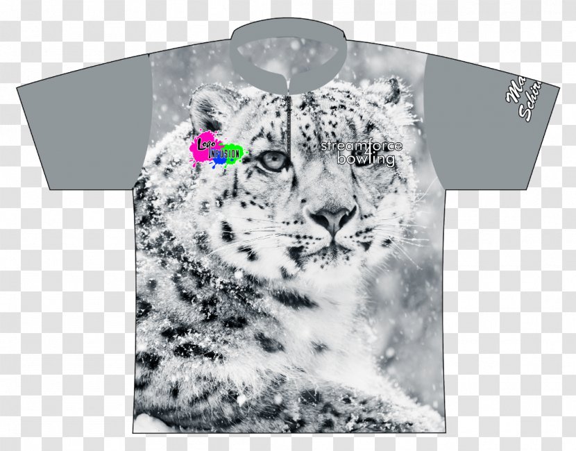 Snow Leopard Himalayas Cat Endangered Species - Mammal Transparent PNG