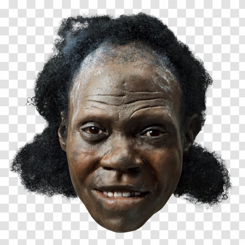 Neandertal Early Human Migrations Anatomically Modern Face Upright Man - Skin - Reconstruction Transparent PNG