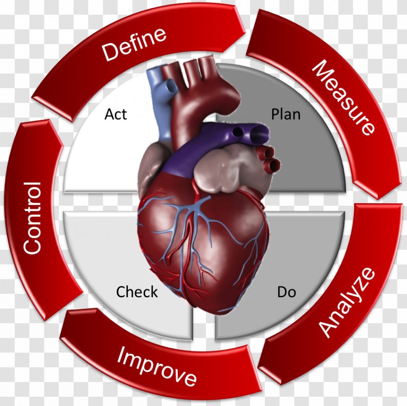 Heart Cardiac Surgery Sick Sinus Syndrome Bradycardia - Flower Transparent PNG