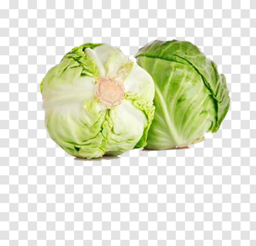 Red Cabbage Cauliflower Kohlrabi Brussels Sprout - Cruciferous Vegetables - Green Transparent PNG