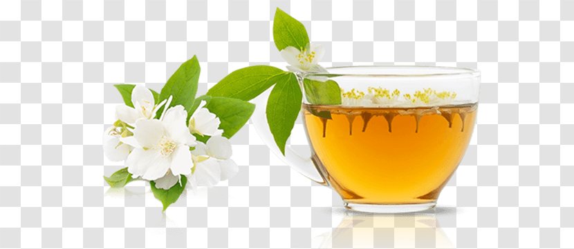 Earl Grey Tea Matcha Green Mate Cocido Latte - Herbalism Transparent PNG