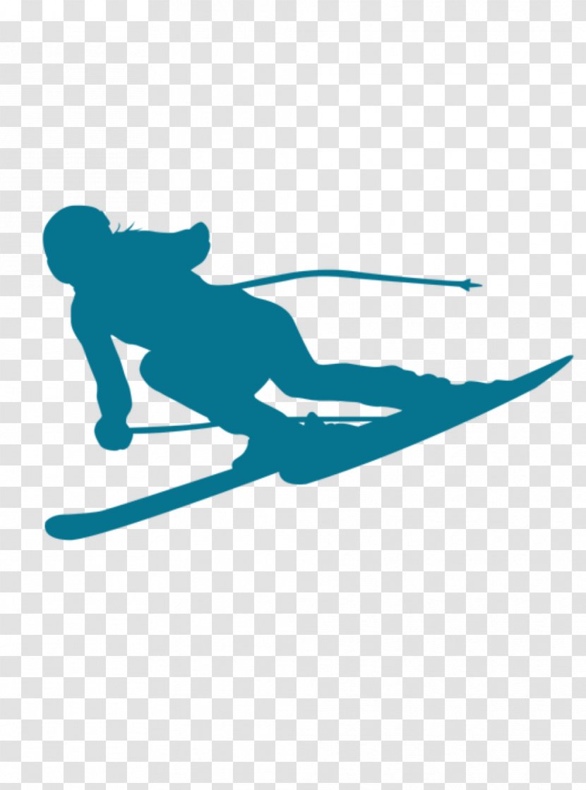 Alpine Skiing Winter Sport Vector Graphics - Joint Transparent PNG