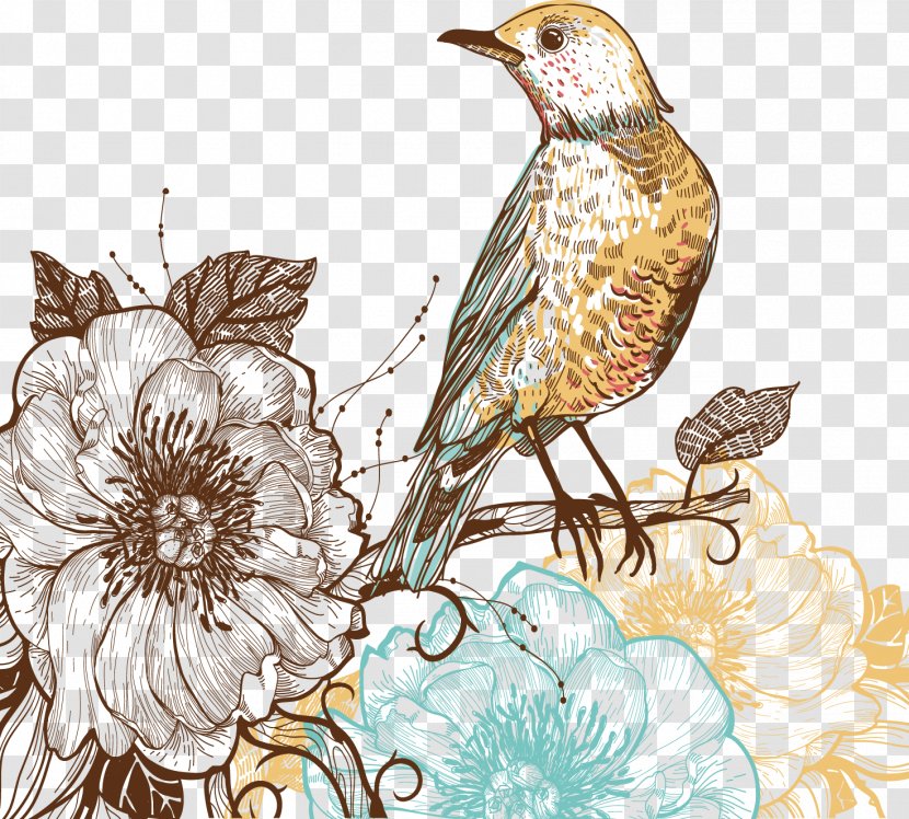 Bird Drawing Flower Pattern - Ornament - China Plover Transparent PNG