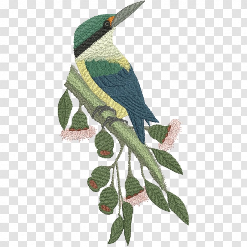Beak Sacred Kingfisher Bird Forest - Wren Transparent PNG