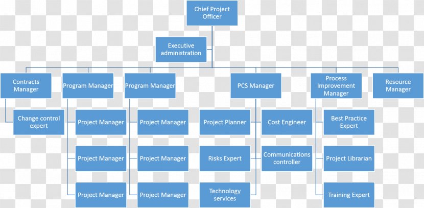 Organizational Structure Chart Company - Business - Organization Transparent PNG