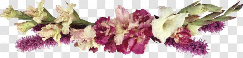 Floral Design Flower - Plant - Stem Transparent PNG