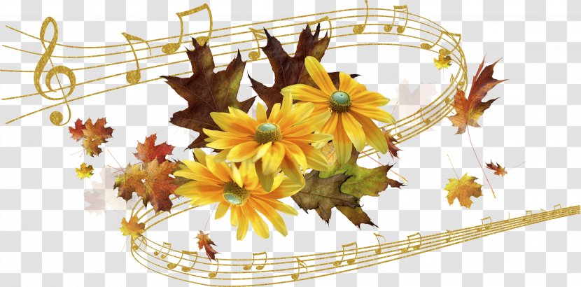 Flower Musical Note Photography - Frame - Autumn Transparent PNG