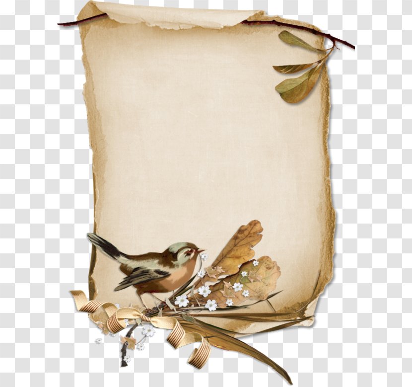Bird Paper Parchment Scroll Transparent PNG
