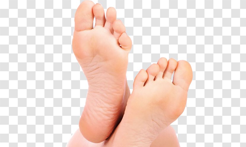 Foot Podiatry Infant Flat Feet Podiatrist - Heart - Chiropody Treatment Transparent PNG