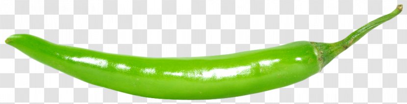 Serrano Pepper Bell Chili Cayenne - Product Design - Green Transparent PNG