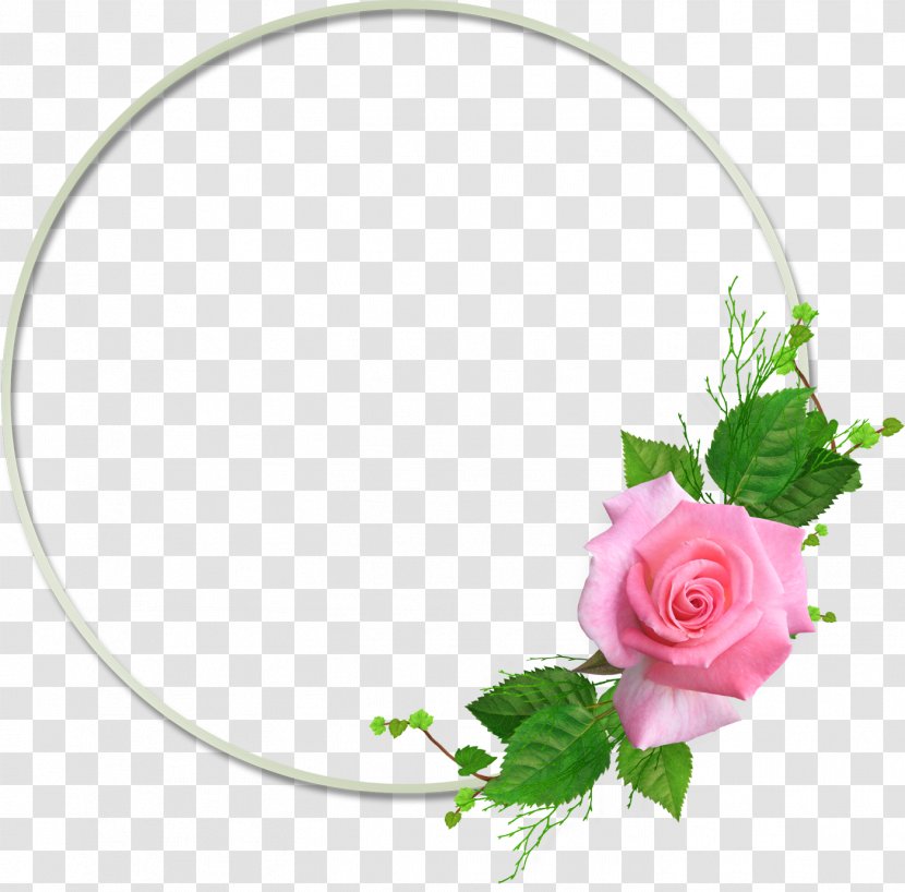 Rose Photography - Cut Flowers - Apricot Blossom Vector Transparent PNG