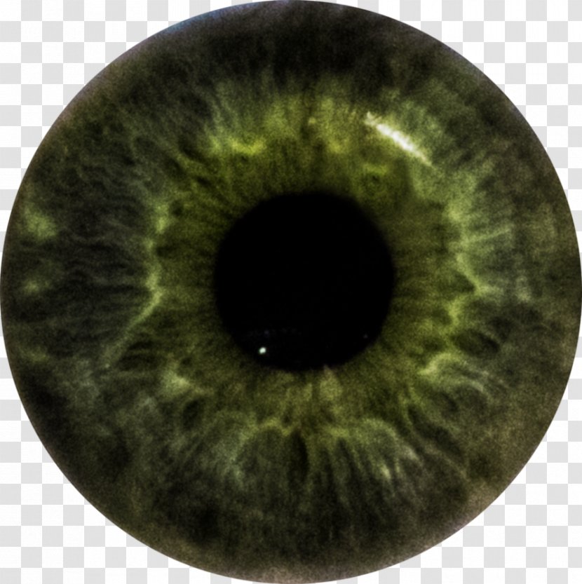 Iris Eye Color Human - Heart Transparent PNG