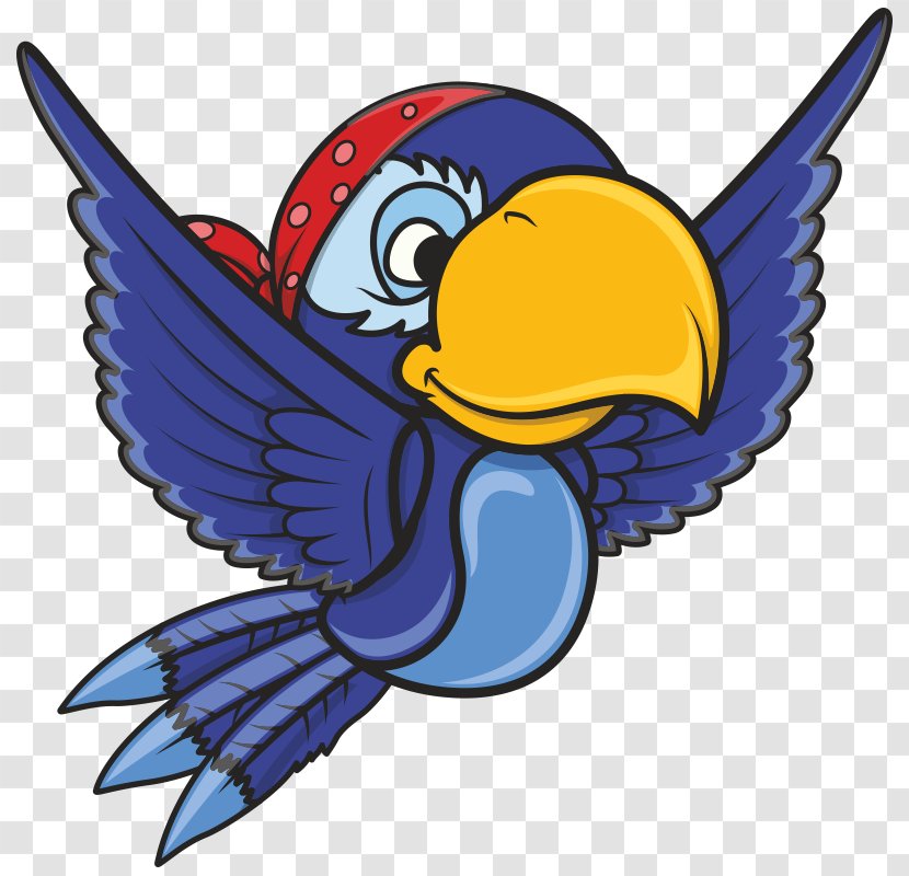 Macaw Drawing Clip Art - Wing - Bird Transparent PNG