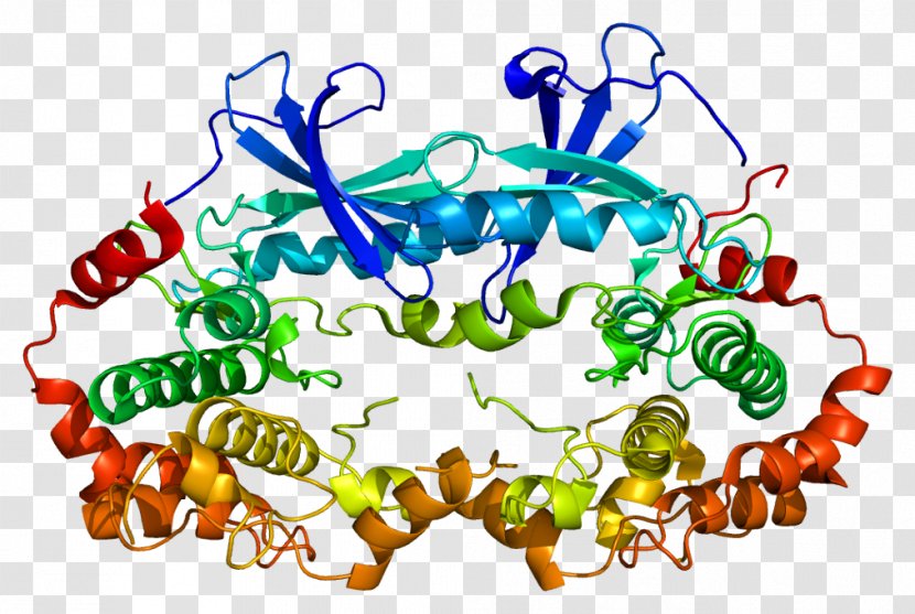 MAP2K2 Mitogen-activated Protein Kinase MAP3K1 - Mitogen Transparent PNG