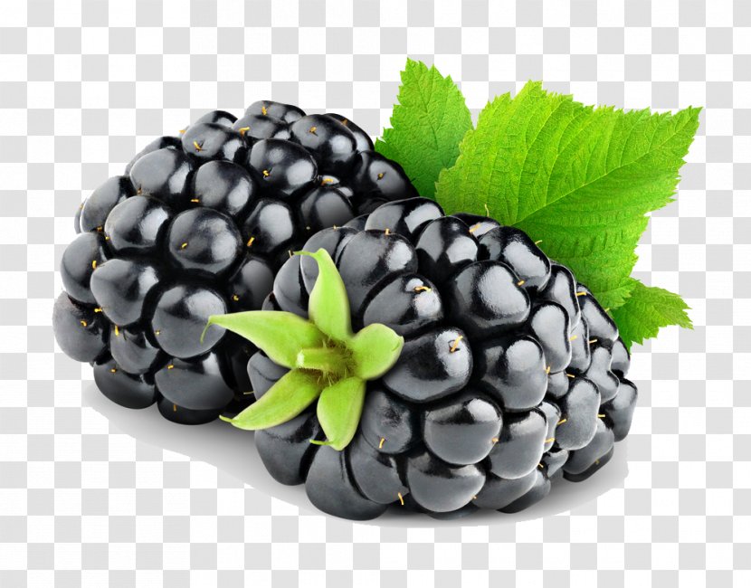Blackberry Pie Fruit - Produce - Hd Transparent PNG