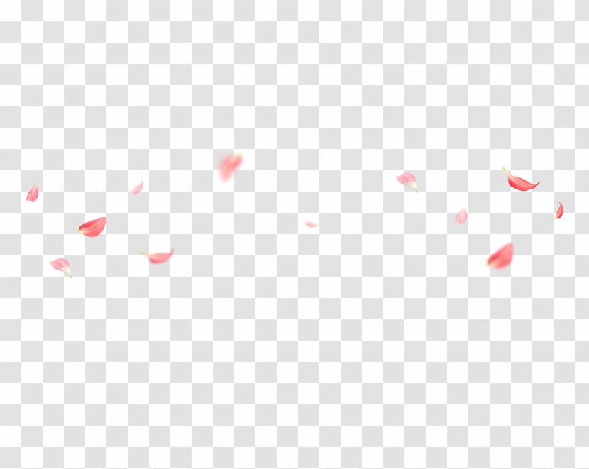 Square Angle Red Pattern - Heart - Pink Petals Falling Transparent PNG