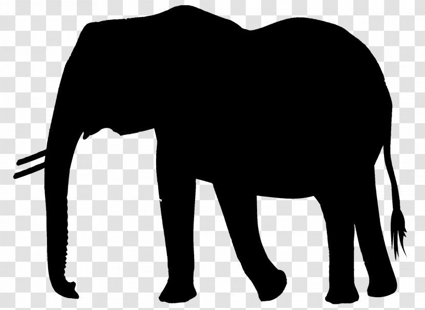 Indian Elephant African Horse Cattle Mammal - Black M - Animal Transparent PNG