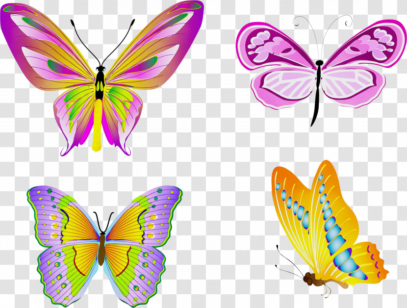 Butterfly Insect Moths And Butterflies Wing Symmetry Transparent PNG