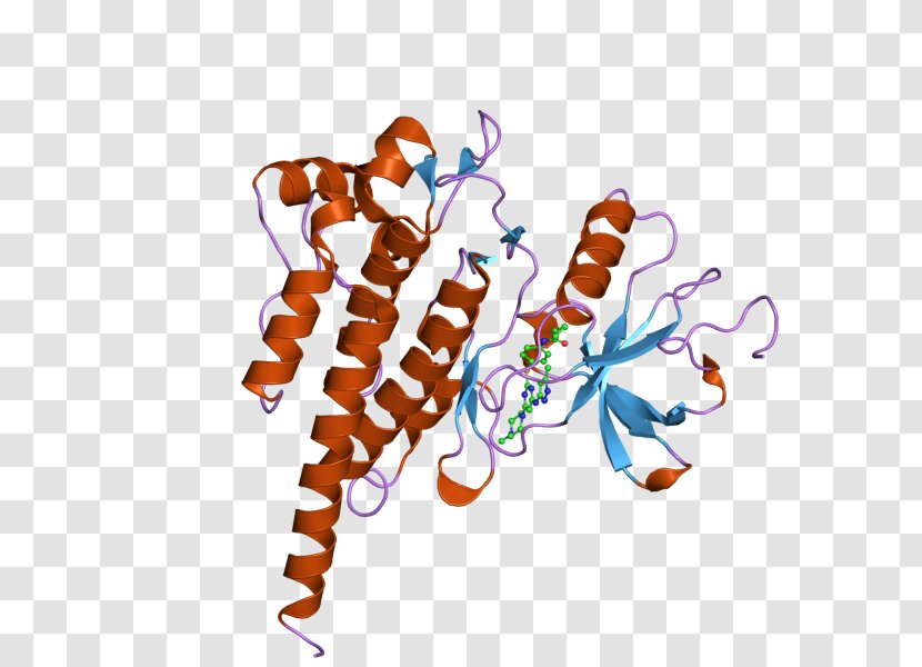 ABL2 Oncogene Enzyme - Computer Transparent PNG