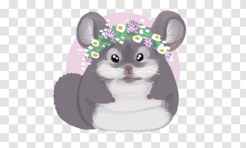 Hamster Whiskers Computer Mouse Transparent PNG