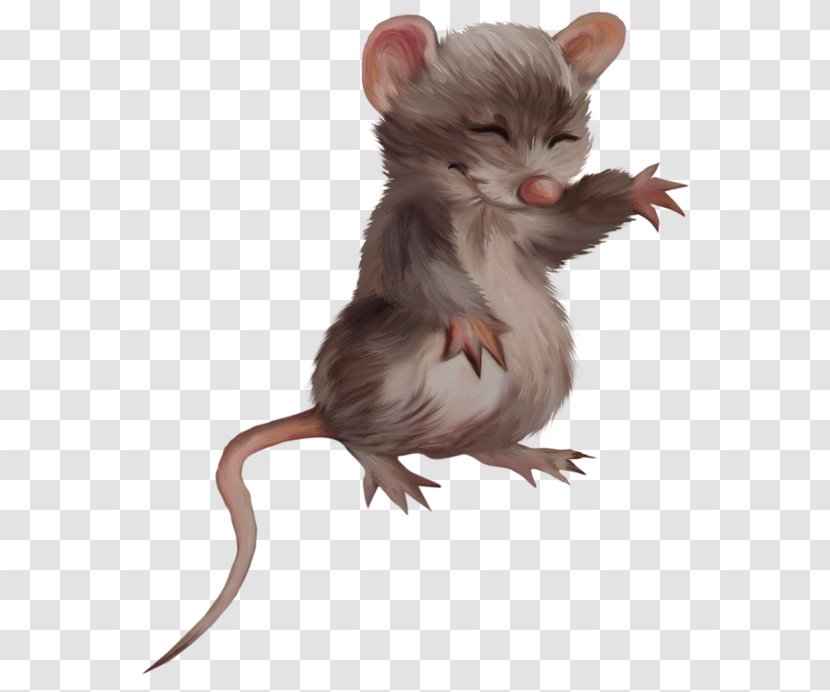 Computer Mouse Rat Rodent Transparent PNG