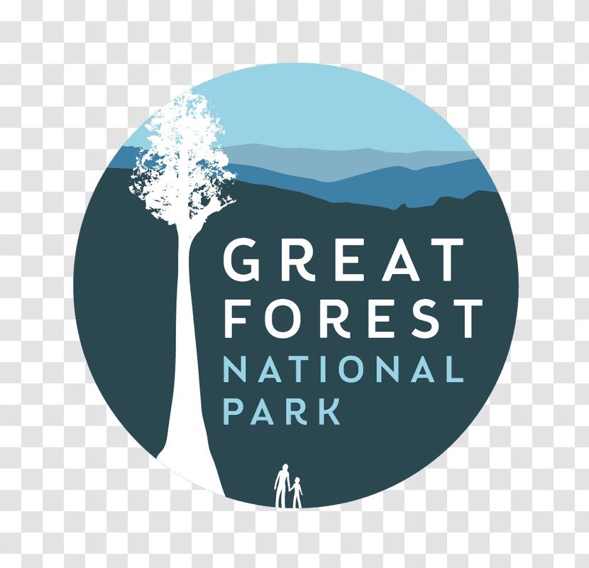 Melbourne Great Forest National Park Central Highlands - Aqua Transparent PNG
