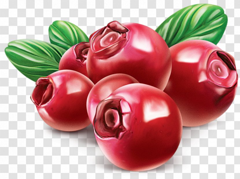 Cranberry - Plant - Blueberries Transparent PNG