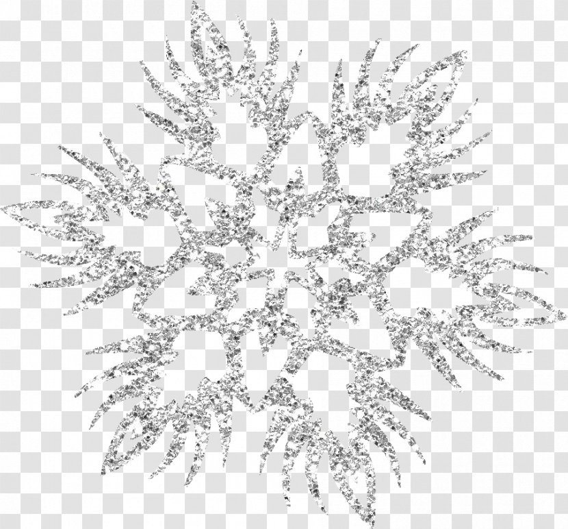 Snowflake Schema - Beautiful Silver Transparent PNG