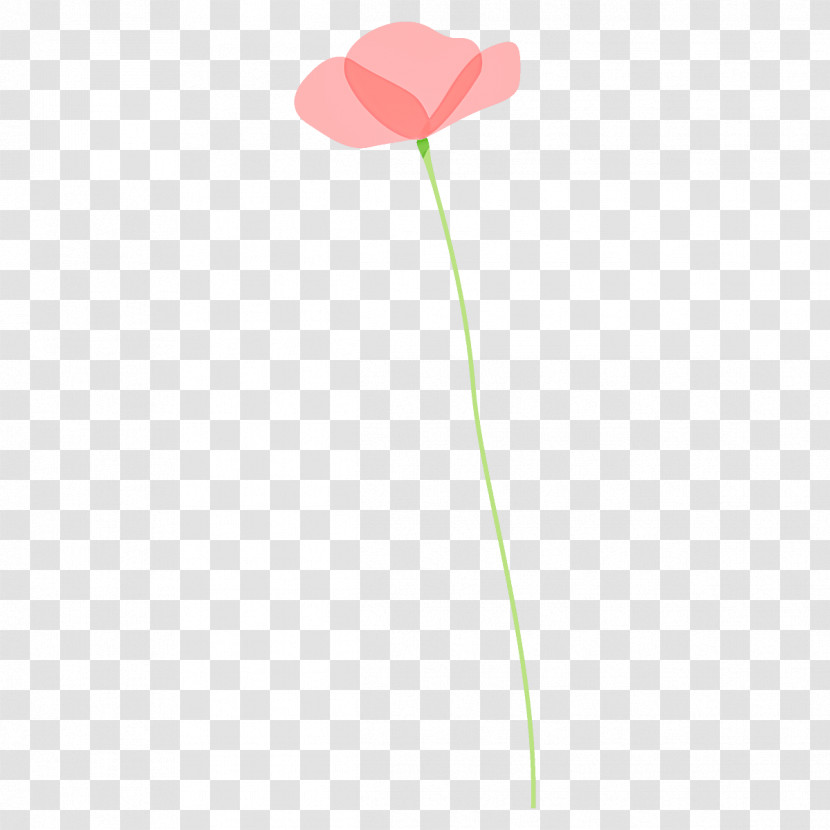 Poppy Flower Transparent PNG