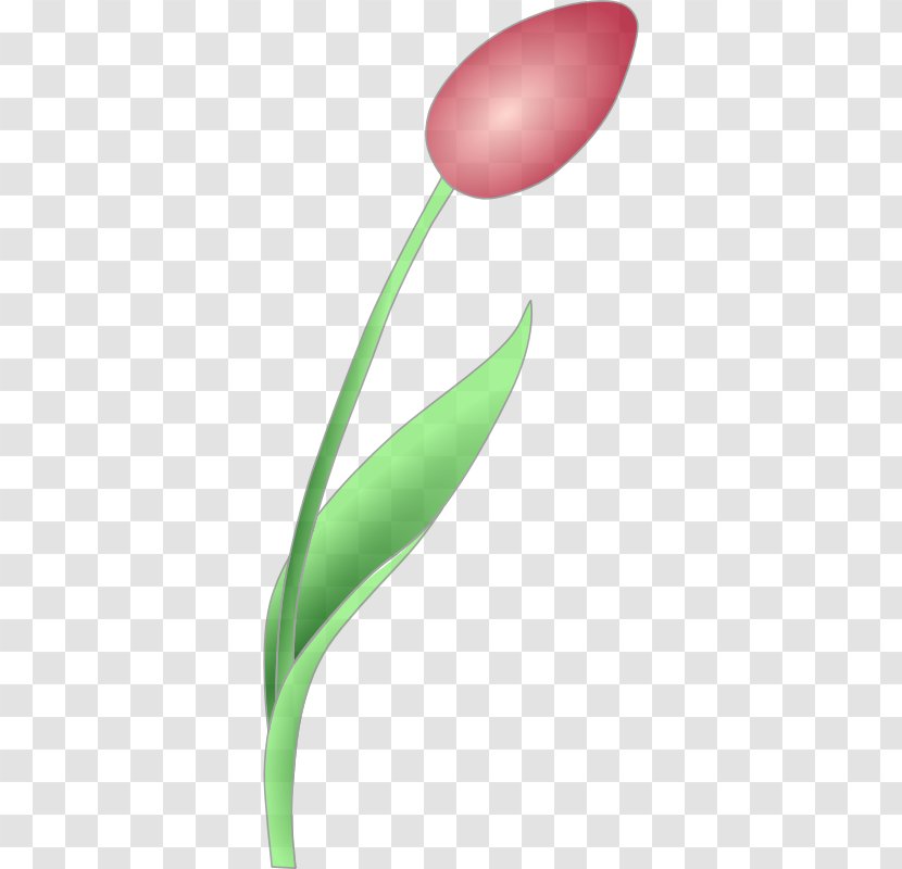 Tulip Flower Clip Art - Free Content - Image Transparent PNG