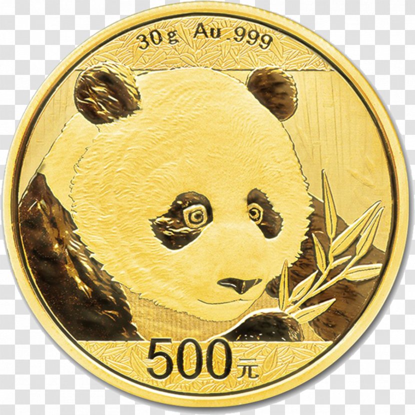 Giant Panda Central Mint Chinese Gold Bullion Coin - Coins Floating Material Transparent PNG