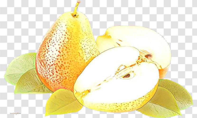 Cartoon Lemon - Fahrenheit - Pomelo Citrus Transparent PNG