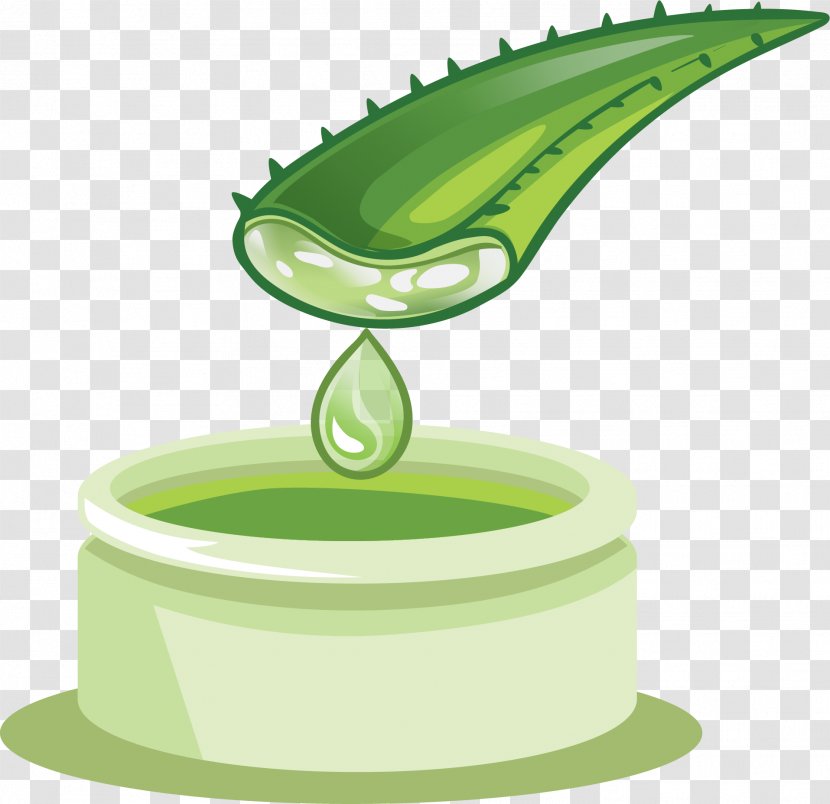 Aloe Vera Euclidean Vector - Water - Hand-painted Extract Transparent PNG