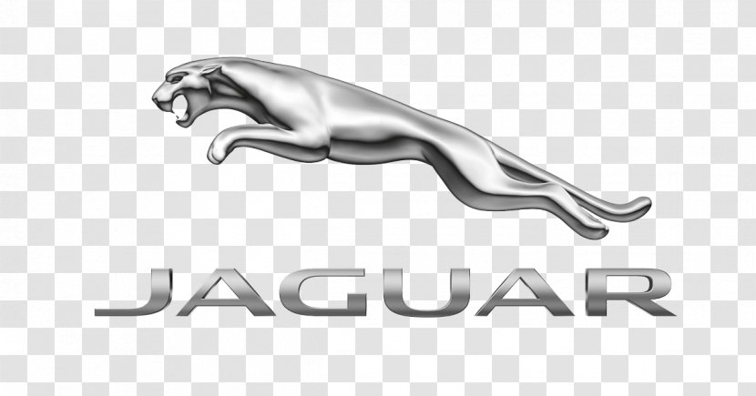 Jaguar Cars Used Car Dealership Land Rover - Mini Transparent PNG