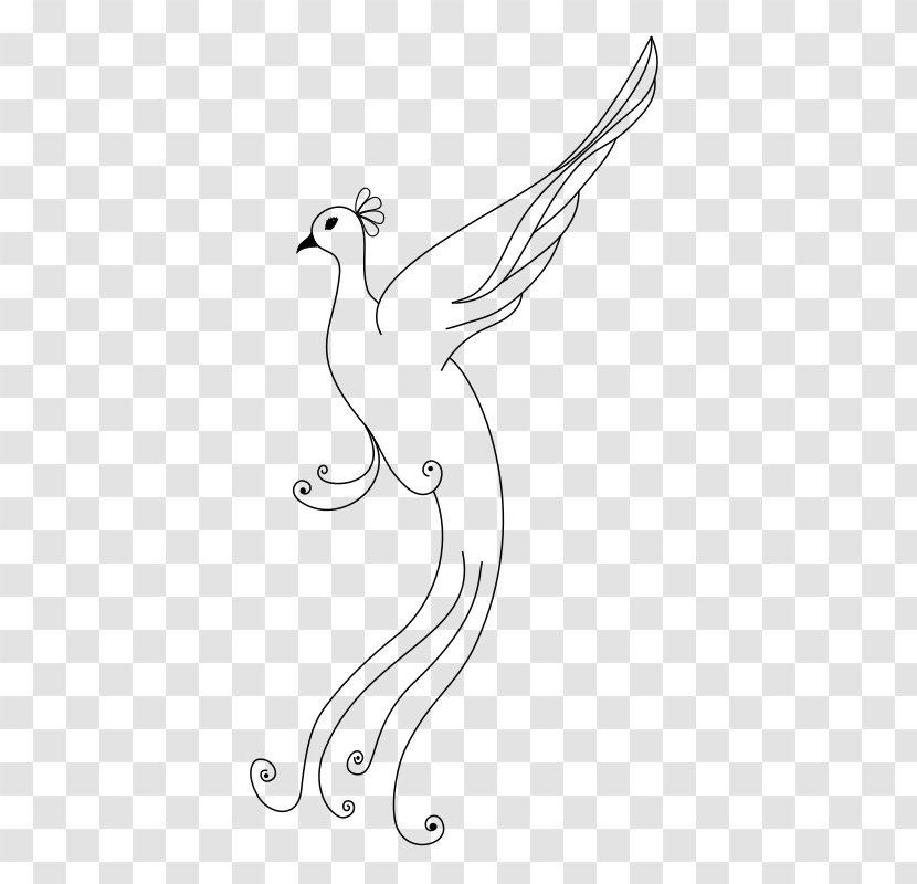 Bird Pavo Chicken Drawing Clip Art - Galliformes Transparent PNG