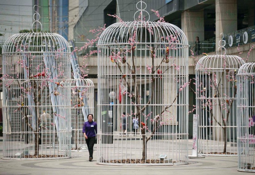 Birdcage Cockatiel Installation Art - Iron - Bird Cage Transparent PNG